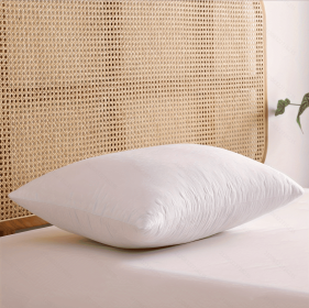 white standard size extra firm-pillow 1800